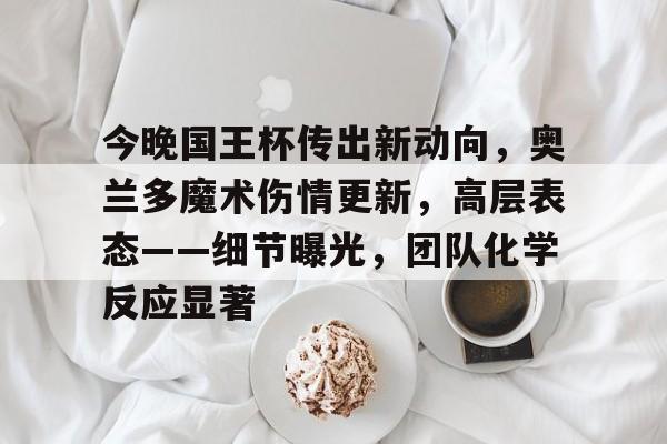 今晚国王杯传出新动向，奥兰多魔术伤情更新，高层表态——细节曝光，团队化学反应显著的简单介绍