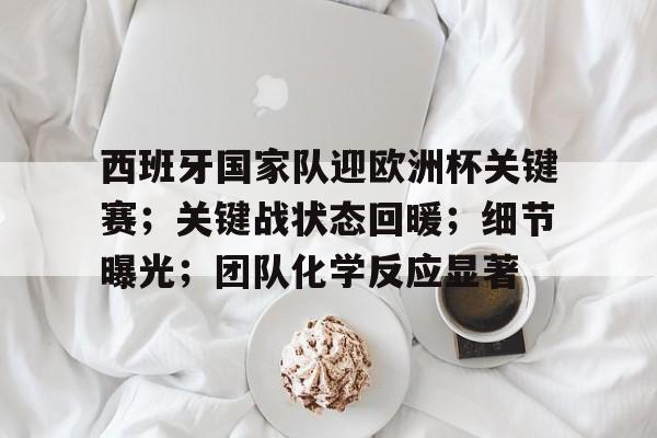 九游-西班牙国家队迎欧洲杯关键赛；关键战状态回暖；细节曝光；团队化学反应显著的简单介绍